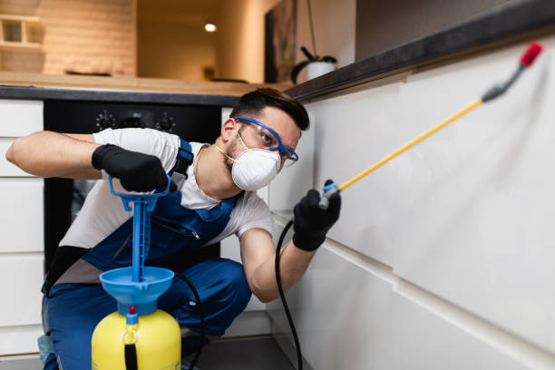 Best Flea Control Services  in Lla Lla East, WA
