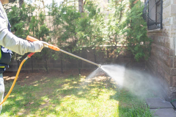 Best Mosquito Control Services  in Lla Lla East, WA
